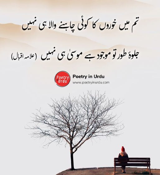 Allama Iqbal Poetry In Urdu For Students Allama Iqbal Poetry